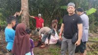DPW Pekat IB Sultra Berbagi Daging Kurban