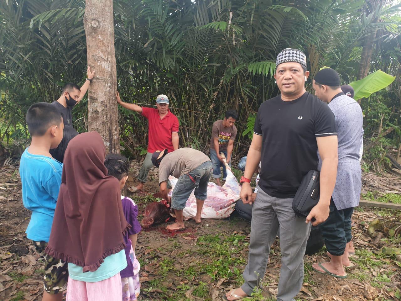 DPW Pekat IB Sultra Berbagi Daging Kurban