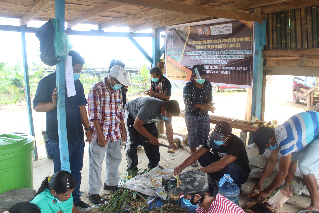 Dosen Proteksi Tanaman UHO Dampingi Dasa Wisma Konsel Terapkan GAP Sayuran Organik di Tengah Pandemi Covid-19