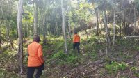 Pria Paruh Baya Hilang dalam Hutan Setelah Sempat Seberangi Sungai di Konawe