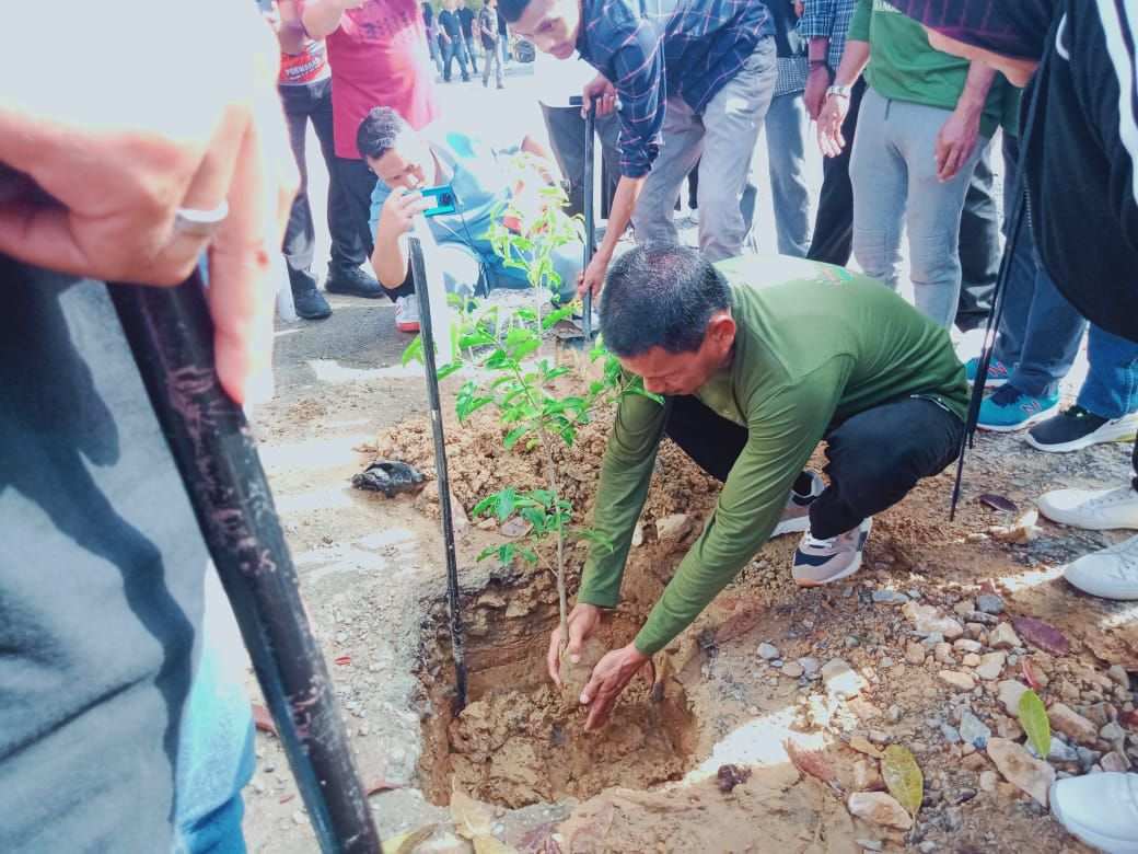 IKA Fisip UHO Tanam 150 Pohon di Lingkungan Fakultas