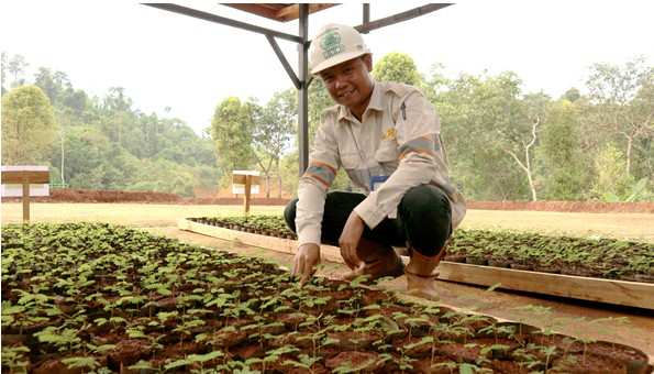 Komitmen PT GKP Implementasikan Green Mining di Pulau Wawonii