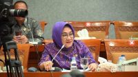Balon Gubernur Sultra Tina Nur Alam Daftar ke Demokrat Sultra