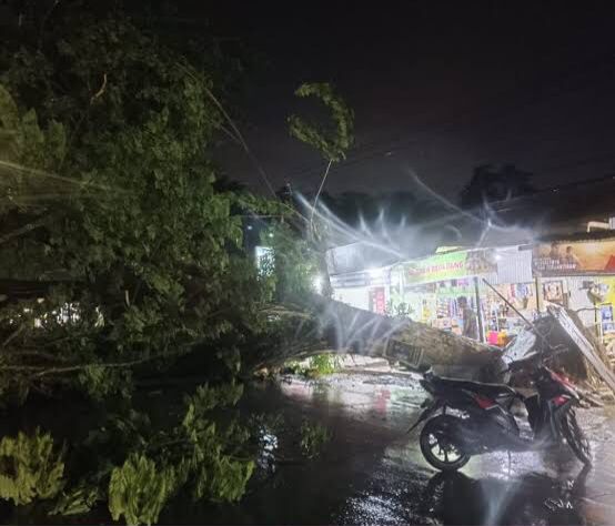 Tim Siaga Bencana Kendari Terus Berjibaku Tangani Longsor dan Banjir di Wua-Wua dan Wilayah Lain Tim Siaga Bencana Kendari Terus Berjibaku Tangani Longsor dan Banjir di Wua-Wua dan Wilayah Lain