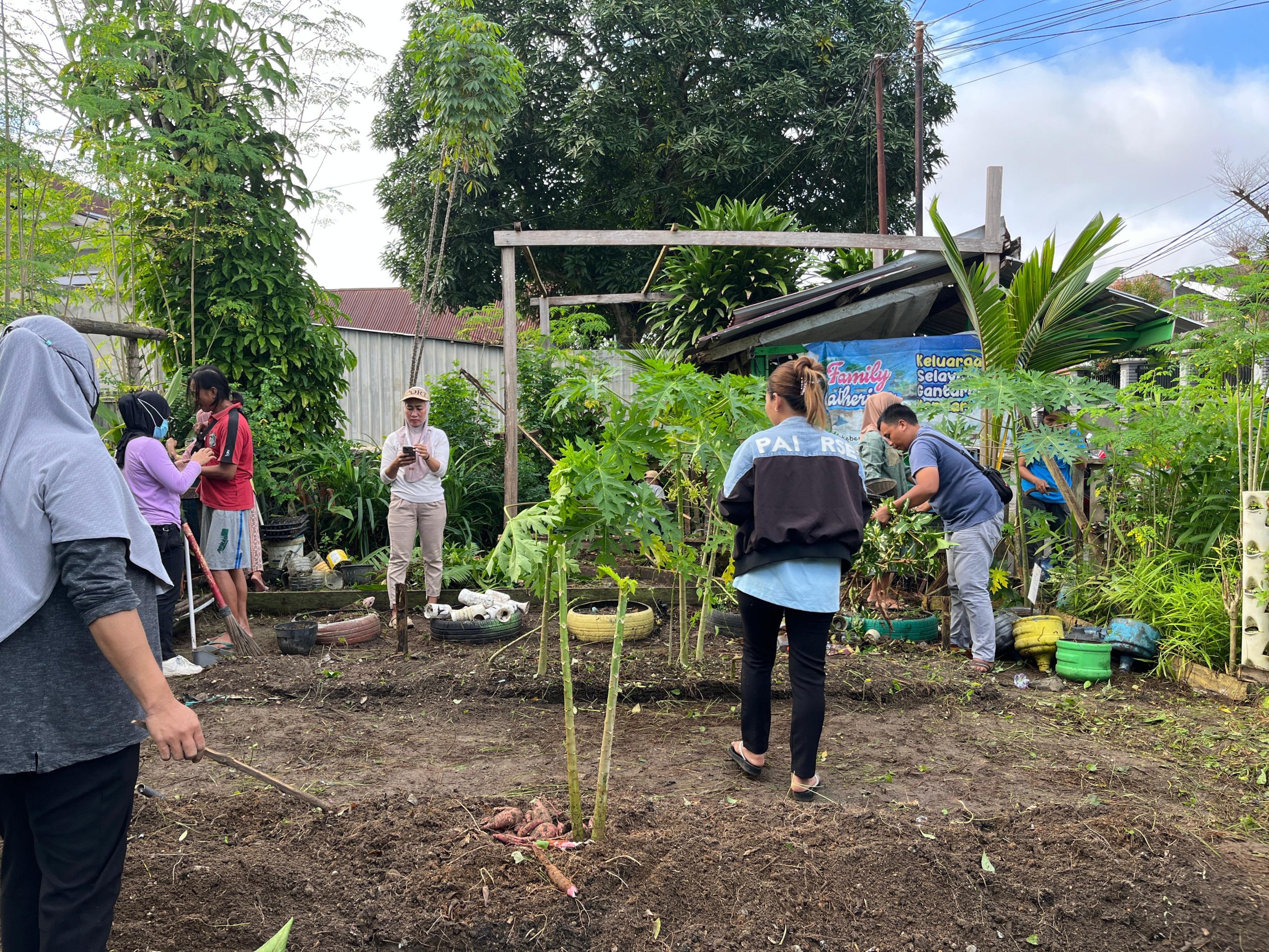 Sinergi PKK dan Dinas Pertanian, Pekarangan Pondambea Kian Produktif