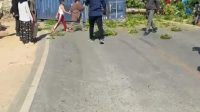 Kecelakaan Truk di Jalan Soeprapto, Pohon Tumbang Timpa Seorang Warga