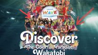 Festival Wakatobi Wave 2025 Dikebiri Anggaran, Dua Tradisi Ikonik Batal Ditampilkan