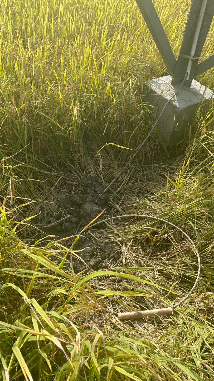 Aksi Pencurian Grounding Tower PLN Berhasil Dibongkar Polsek Wolo, 15 TKP Terungkap