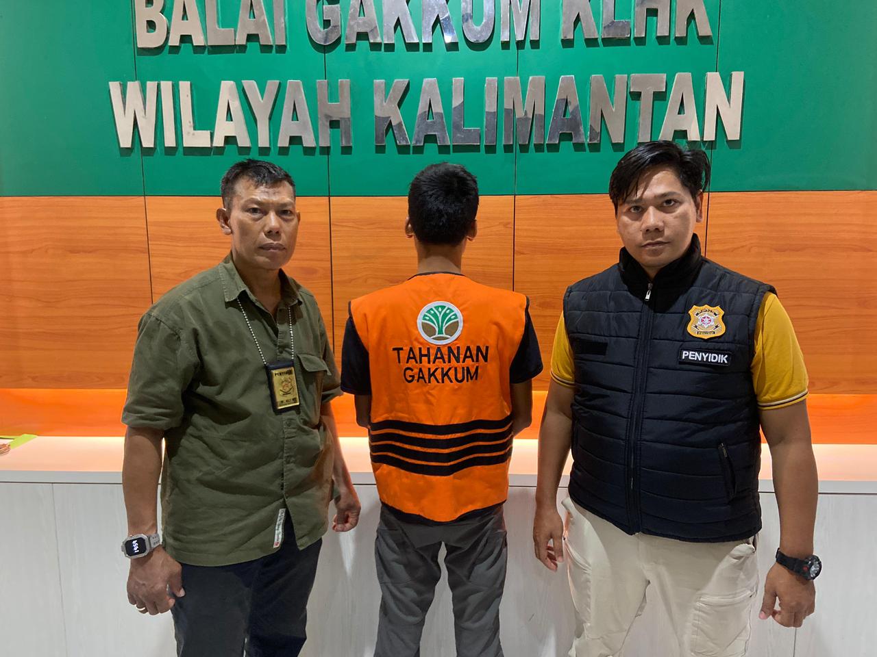 Ditjen Gakkumhut Tangkap Pembuat Dokumen SKSHH Palsu, Ungkap Sindikat Pembalakan Liar