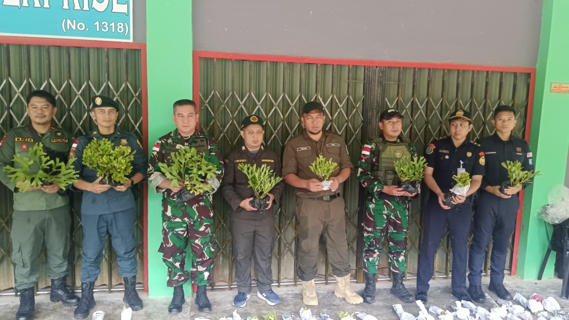 Patroli Gabungan Indonesia–Malaysia Amankan Ratusan Tanaman Dilindungi di Perbatasan Jagoi Babang–Serikin