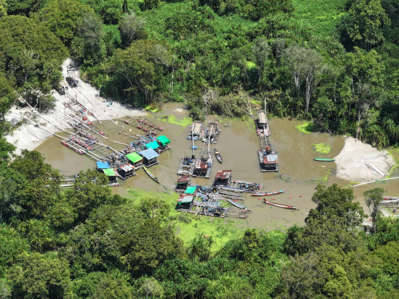 12 Penambang Emas Ilegal Ditangkap di Taman Nasional Tanjung Puting