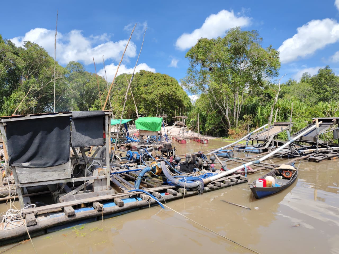 12 Penambang Emas Ilegal Ditangkap di Taman Nasional Tanjung Puting