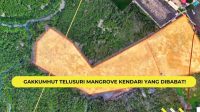 Kementerian Kehutanan Cek Lokasi Pembabatan Mangrove di Kendari, Isunya Bakal Dibangunkan Rumah Gubernur