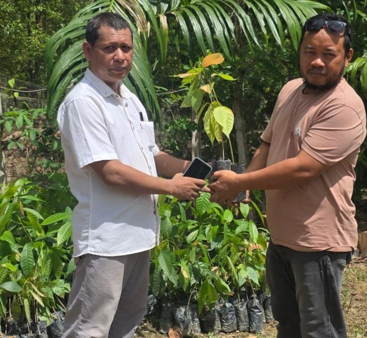 Dukung Ekonomi Warga, PT Hoffmen Energi Perkasa Salurkan Bantuan Bibit Kakao untuk Kelompok Tani di Konsel