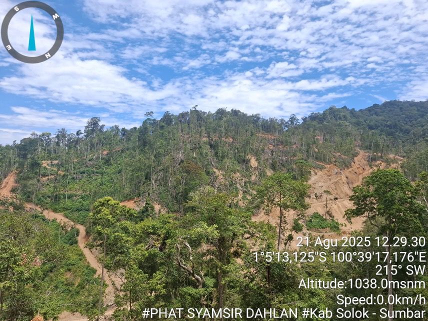 Gakkum Kehutanan Menang Praperadilan Kasus Penebangan Ilegal di Solok