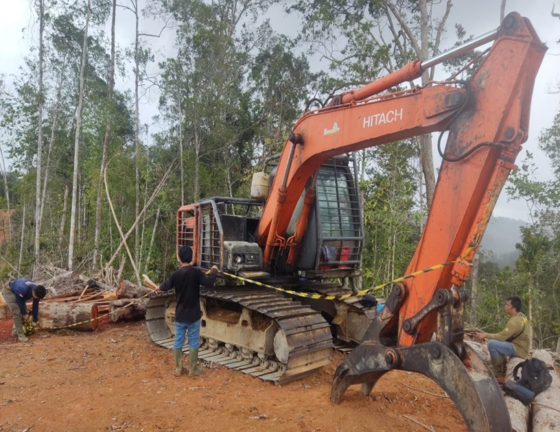Marak Pencucian Kayu, Gakkum Kehutanan Amankan Ekskavator dan Puluhan Batang Kayu di Tapanuli Selatan