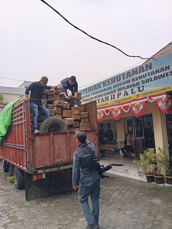 Komitmen Gakkum Kehutanan: Tersangka Pengangkutan Kayu Ilegal di Jalur Trans Palu–Tolitoli Siap Disidangkan