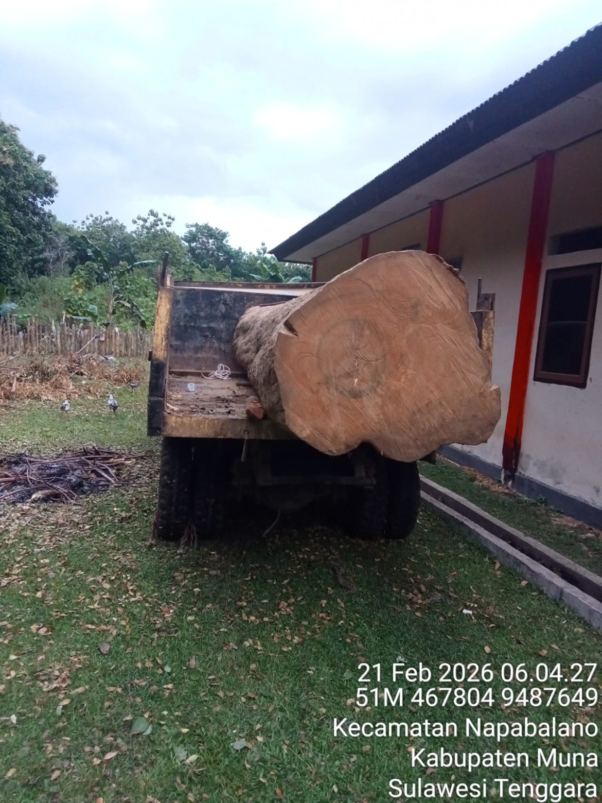 Gakkum Kehutanan Tetapkan Tersangka Illegal Logging di Cagar Alam Napabalano