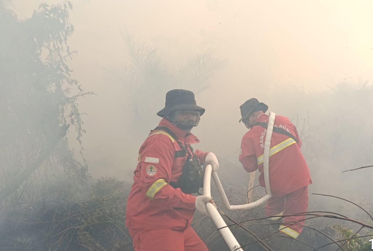 Manggala Agni Berjibaku Padamkan Karhutla, Sempat Berhadapan dengan Harimau Sumatera