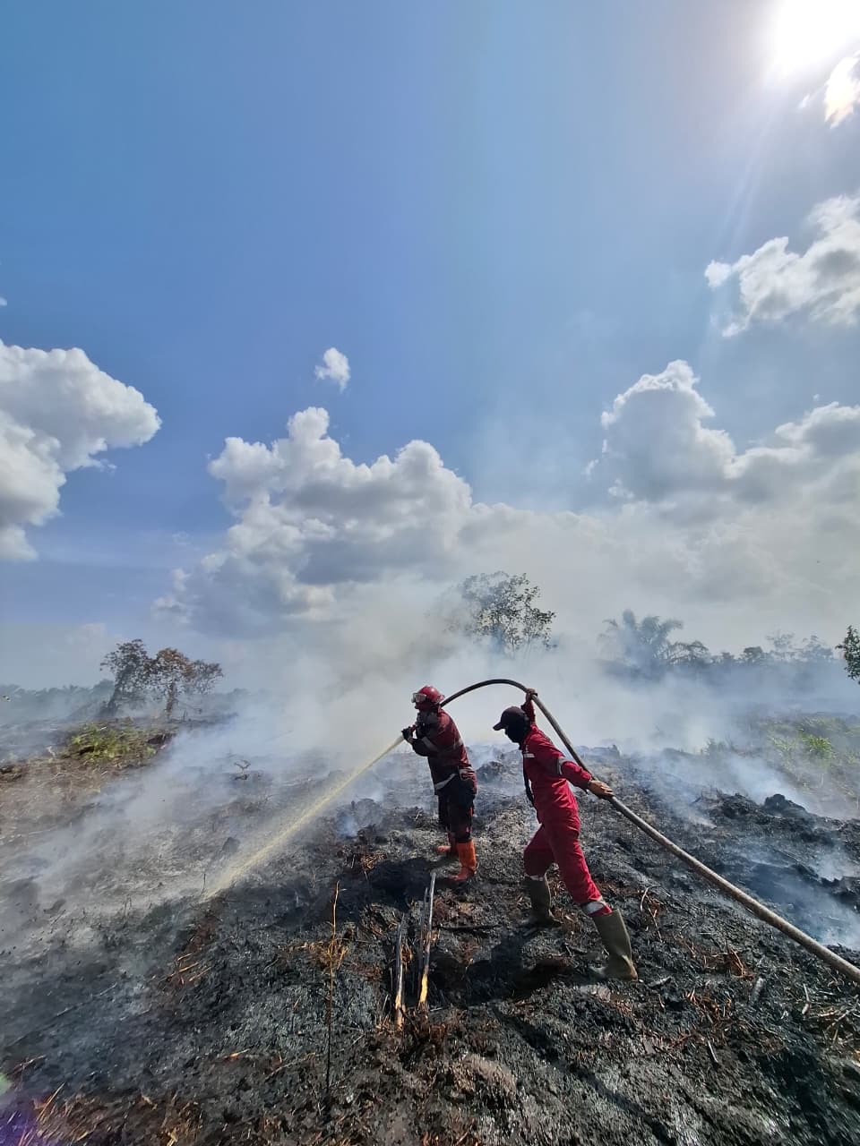 Manggala Agni Berjibaku Padamkan Karhutla, Sempat Berhadapan dengan Harimau Sumatera