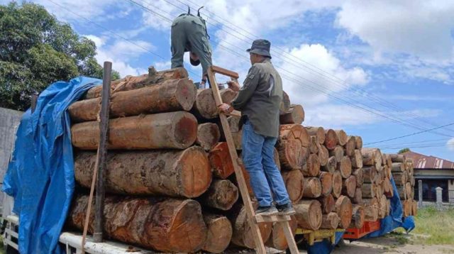 Hakim PN Medan Tolak Praperadilan Kasus Kayu Ilegal, Penetapan Tersangka Sah