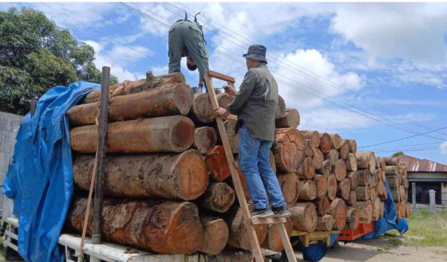Hakim PN Medan Tolak Praperadilan Kasus Kayu Ilegal, Penetapan Tersangka Sah
