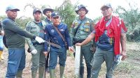 Rusak Habitat Gajah Sumatera, Pelaku Perambahan Hutan Seblat Ditahan