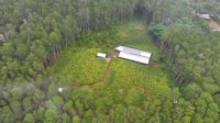 Hutan Negara di Bone Dirambah Jadi Kebun dan Peternakan Ayam