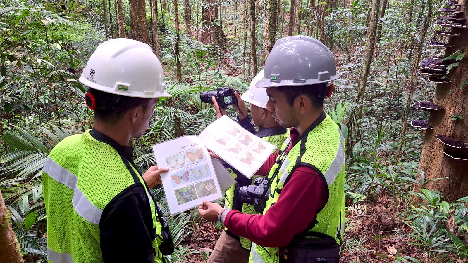 Program Biodiversitas PT GKP Buka Catatan Temuan Spesies Baru di Wawonii