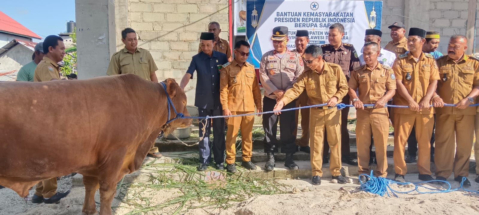 Bupati Wakatobi Serahkan Sapi Kurban Bantuan Presiden ke Masjid Qaryatul Bahri