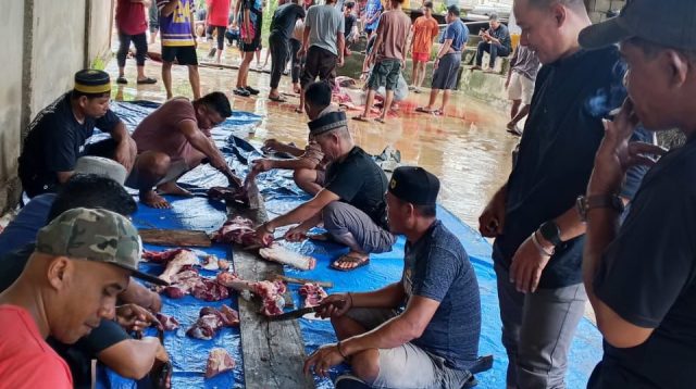 PT WIN Salurkan 13 Ekor Sapi Qurban di Konawe Selatan pada Idul Adha 1447 H