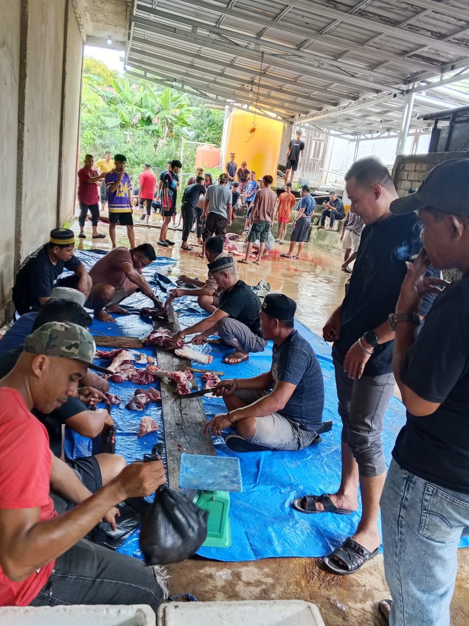 PT WIN Salurkan 13 Ekor Sapi Qurban di Konawe Selatan pada Idul Adha 1447 H