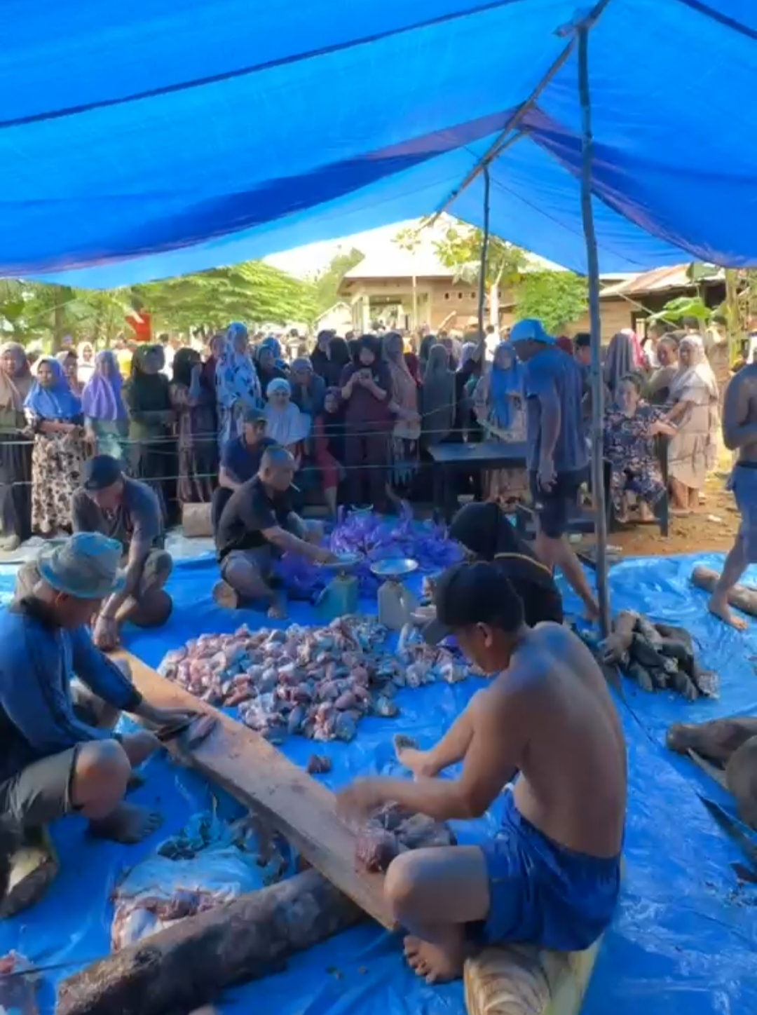 Bahtra Banong Salurkan Kurban Sapi Jumbo untuk Masyarakat Onembute Konawe