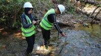 Dari Data ke Aksi, PT GKP Gunakan Monitoring Biodiversitas untuk Pengelolaan Lingkungan Wawonii