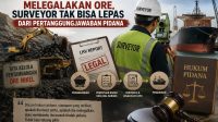 Pakar Hukum Nilai Ada Dugaan Unsur Turut Serta Surveyor dalam Kasus Korupsi PT AMIN