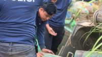 Polisi Tetapkan Tiga Tersangka Kasus Tambang Emas Ilegal di Bombana