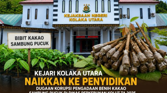 Kejari Kolut Sidik Dugaan Korupsi Pengadaan Bibit Kakao Tahun 2025