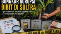 Bongkar Korupsi Bibit di Sultra, Tiga Penyidikan APH Picu Pertanyaan Besar soal Pengadaan Perkebunan