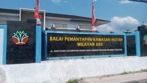 Kementerian Kehutanan Minta PT IPIP Jamin Akses Jalan untuk PT Toshida Indonesia
