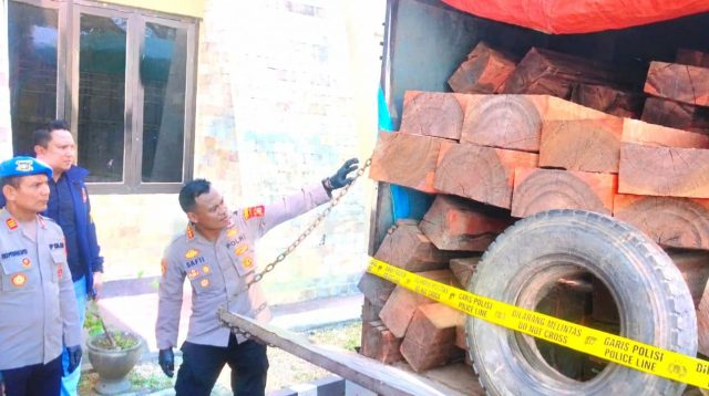 Polisi Amankan 80 Batang Kayu Ebony Diduga Ilegal, Hendak Dikirim ke Surabaya